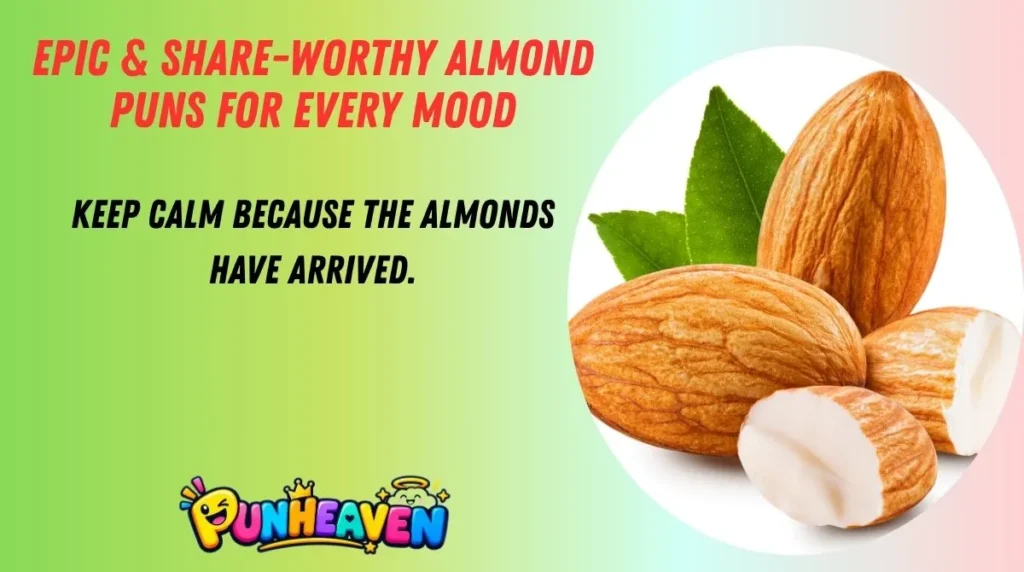 Epic & Share-Worthy Almond Puns for Every Mood