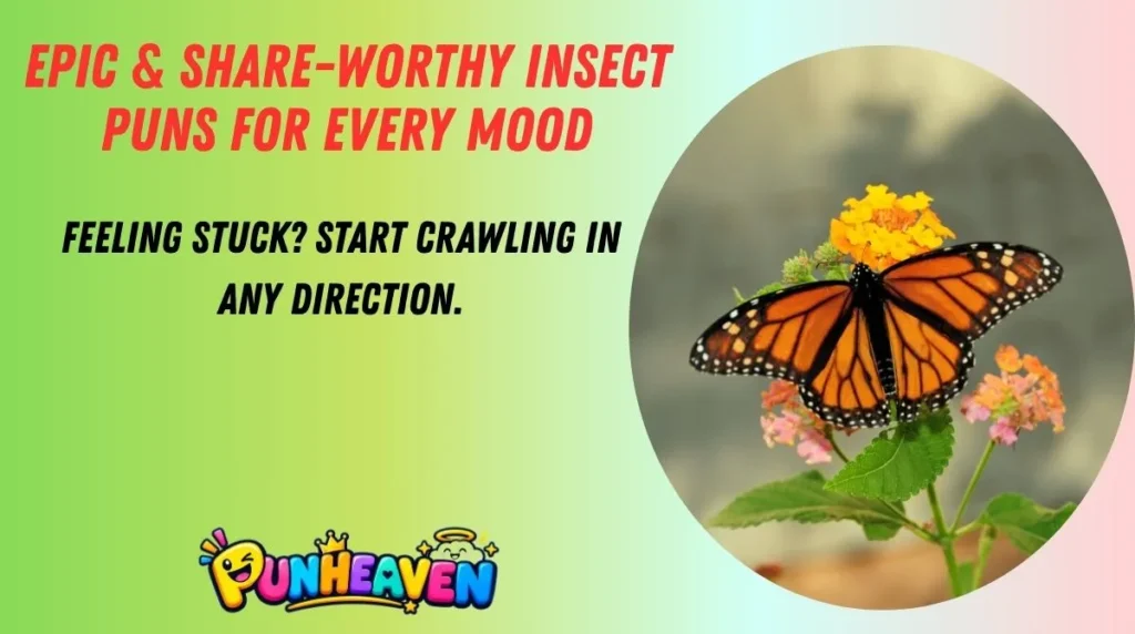 Epic & Share-Worthy Insect Puns for Every Mood