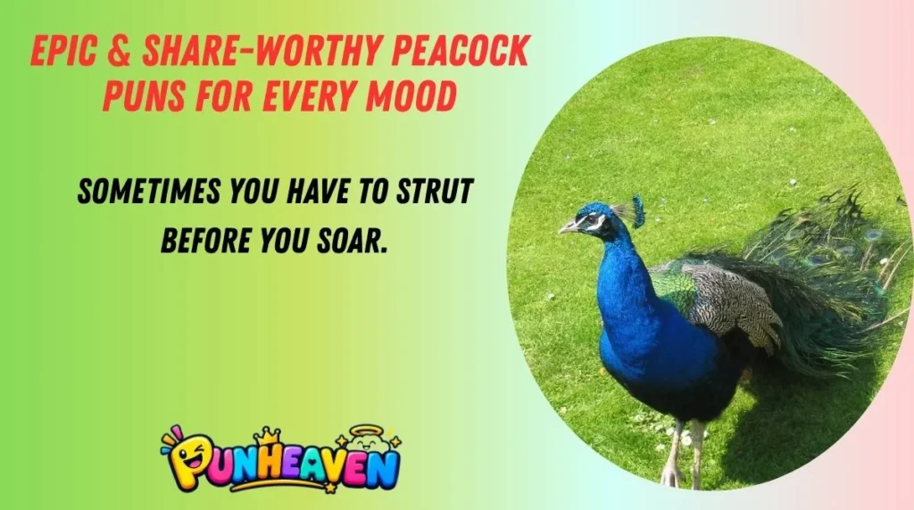 Epic & Share-Worthy Peacock Puns for Every Mood