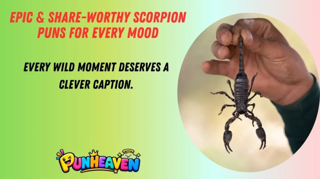 Epic & Share-Worthy Scorpion Puns for Every Mood