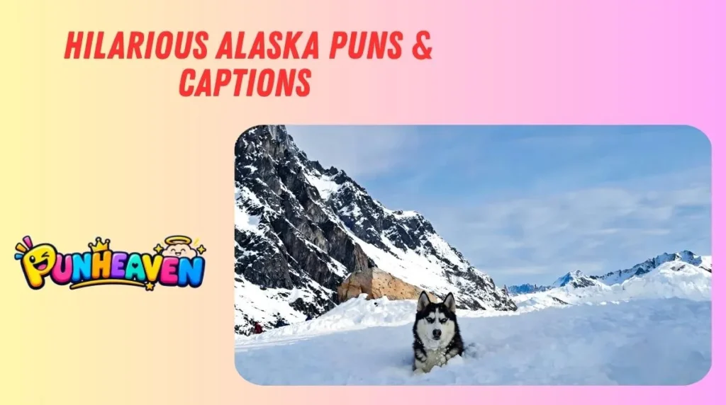 Hilarious Alaska Puns & Captions