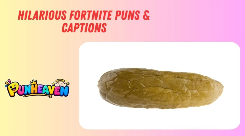 Hilarious Fortnite Puns & Captions