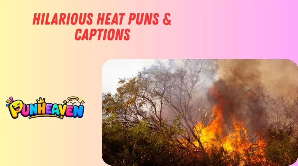Hilarious Heat Puns & Captions