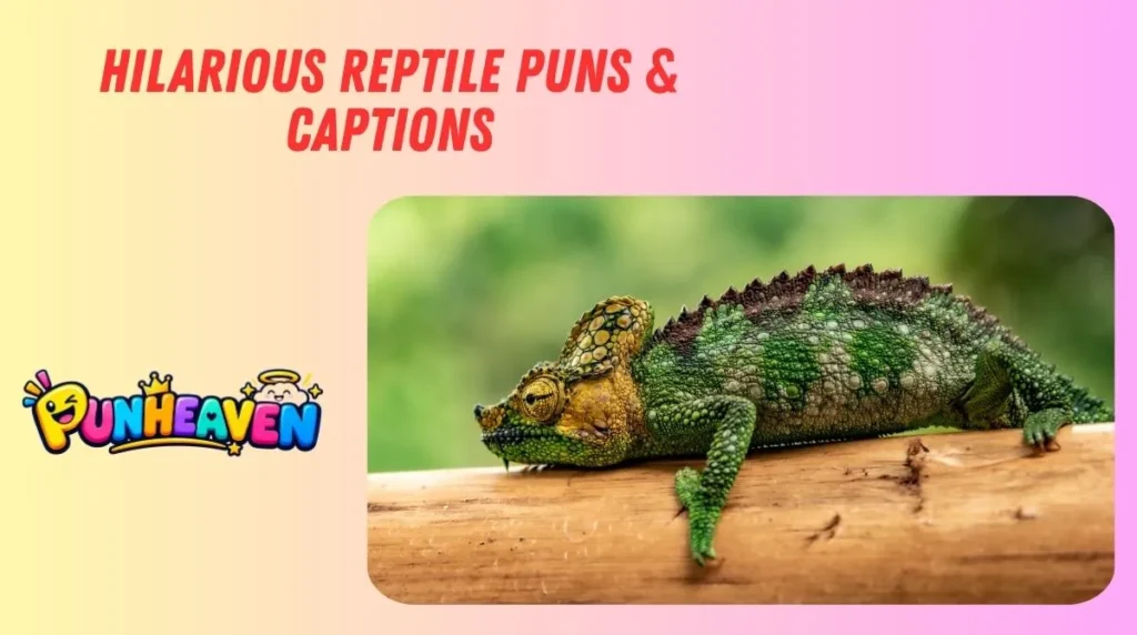 Hilarious Reptile Puns & Captions