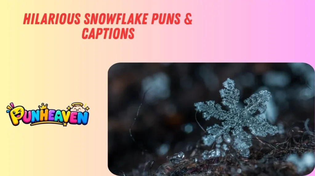 Hilarious Snowflake Puns & Captions