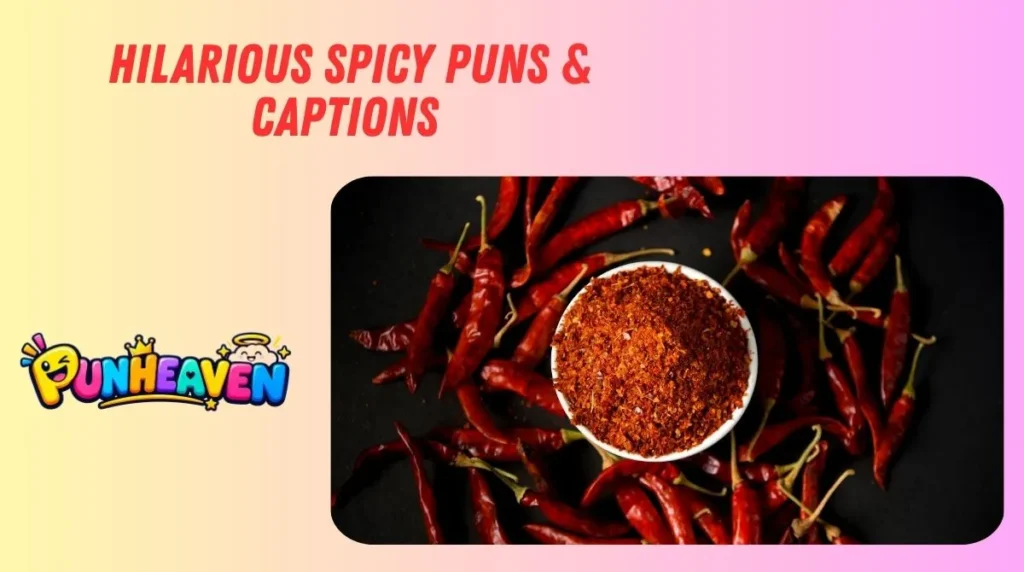 Hilarious Spicy Puns & Captions