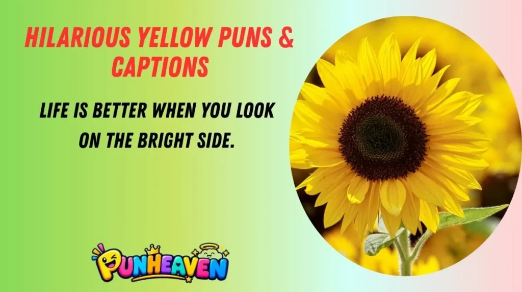 Hilarious Yellow Puns & Captions