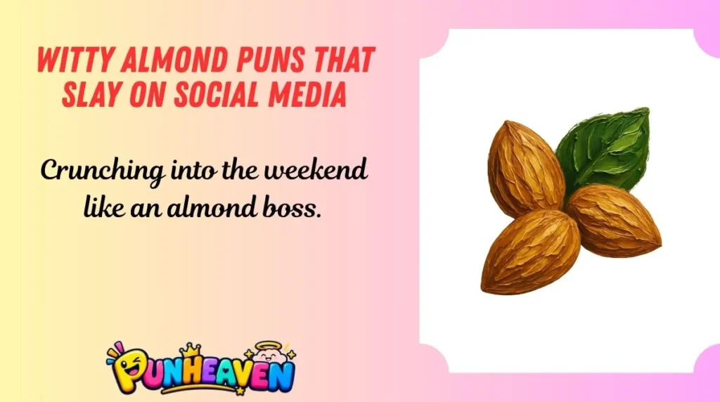 Witty Almond Puns That Slay on Social Media