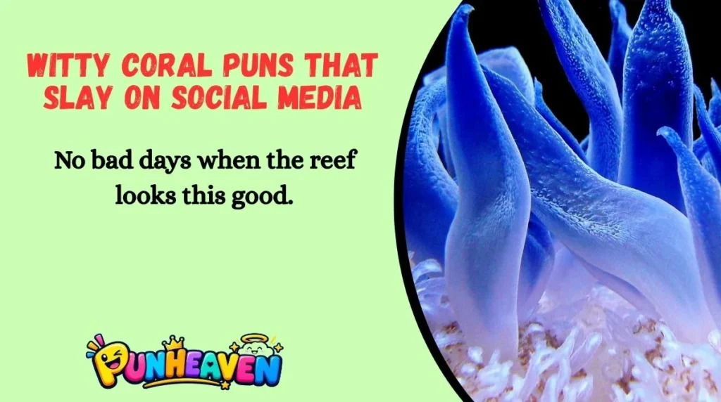 Witty Coral Puns That Slay on Social Media