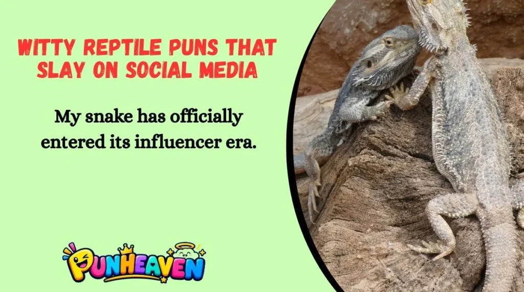 Witty Reptile Puns That Slay on Social Media