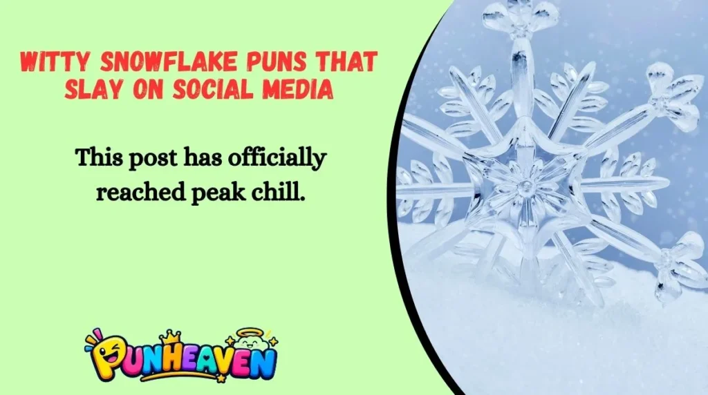 Witty Snowflake Puns That Slay on Social Media