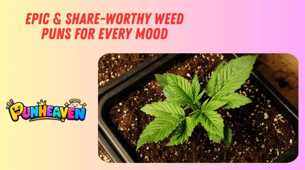 Epic & Share-Worthy Weed Puns for Every Mood