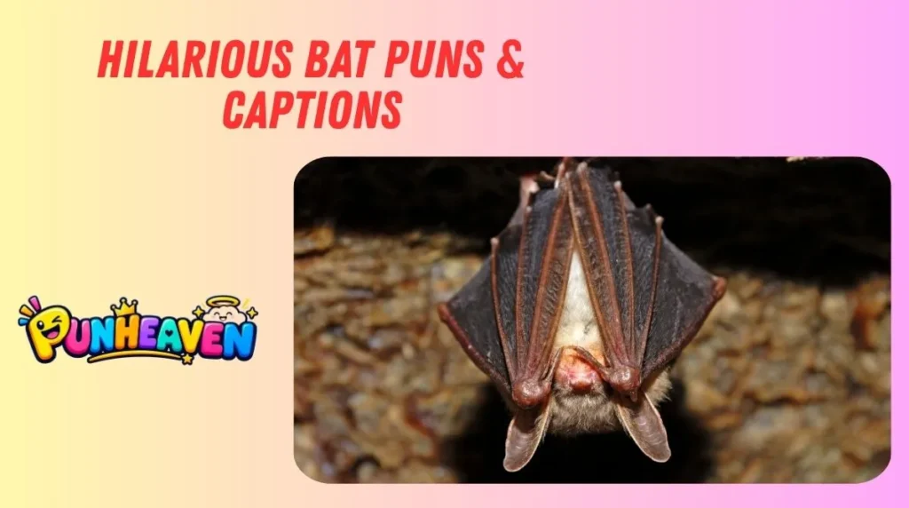 Hilarious Bat Puns & Captions