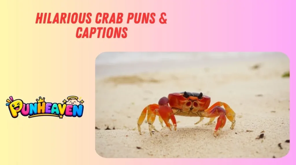 Hilarious Crab Puns & Captions