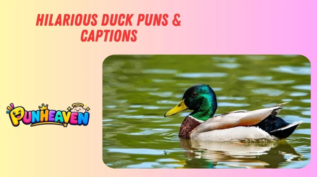 Hilarious Duck Puns & Captions