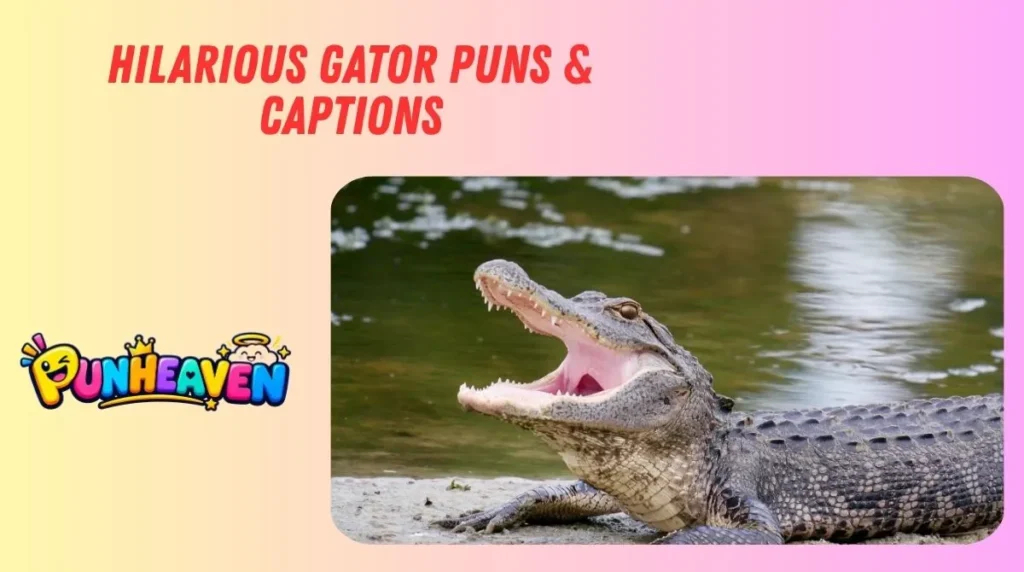 Hilarious Gator Puns & Captions