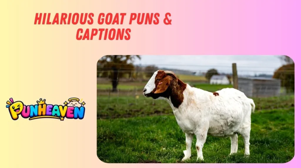 Hilarious Goat Puns & Captions