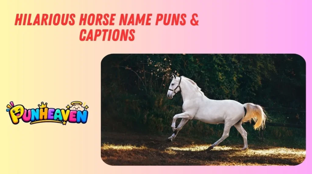 Hilarious Horse Name Puns & Captions