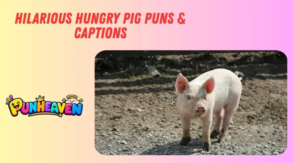 Hilarious Hungry Pig Puns & Captions