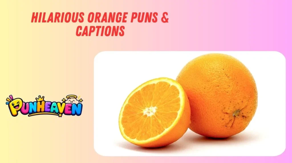 Hilarious Orange Puns & Captions