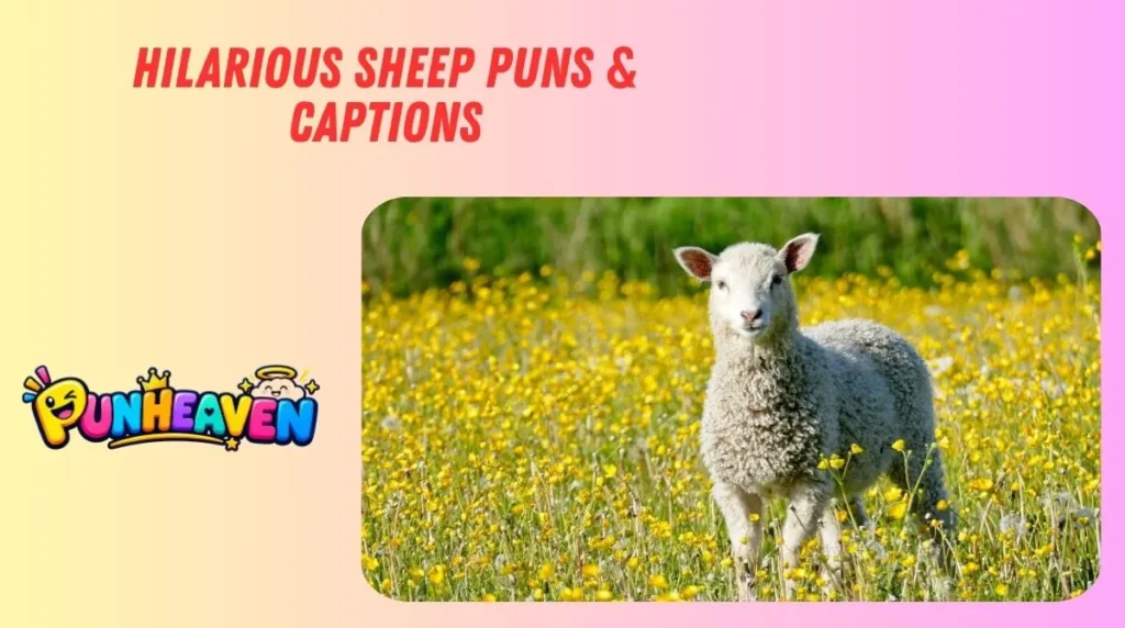 Hilarious Sheep Puns & Captions