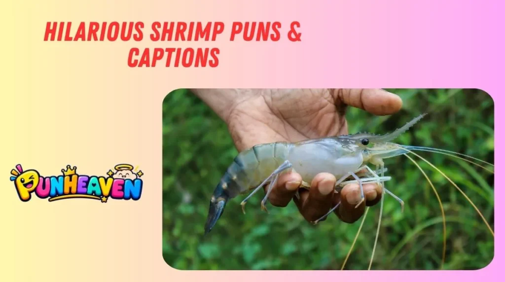 Hilarious Shrimp Puns & Captions