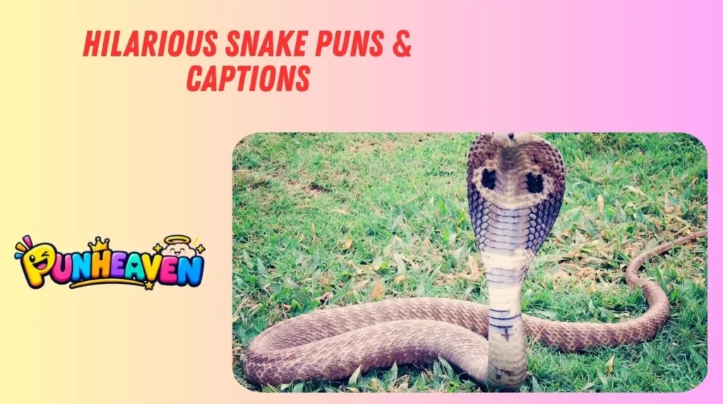 Hilarious Snake Puns & Captions