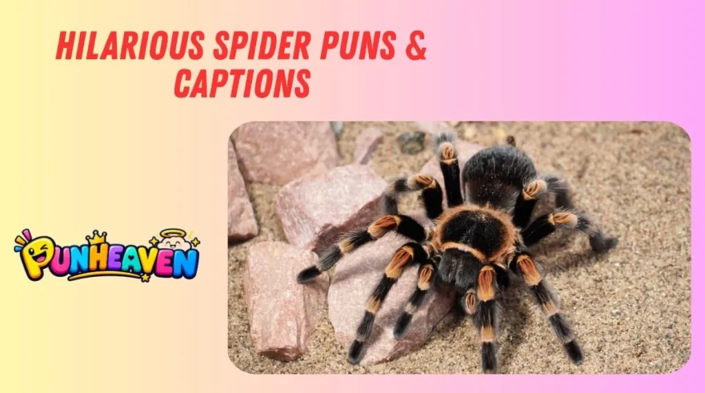 Hilarious Spider Puns & Captions