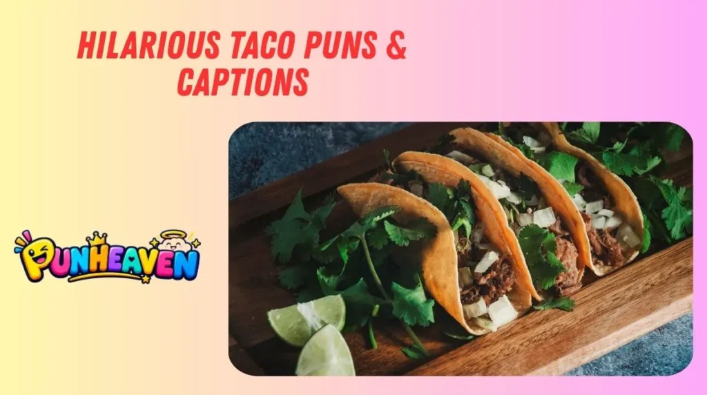 Hilarious Taco Puns & Captions