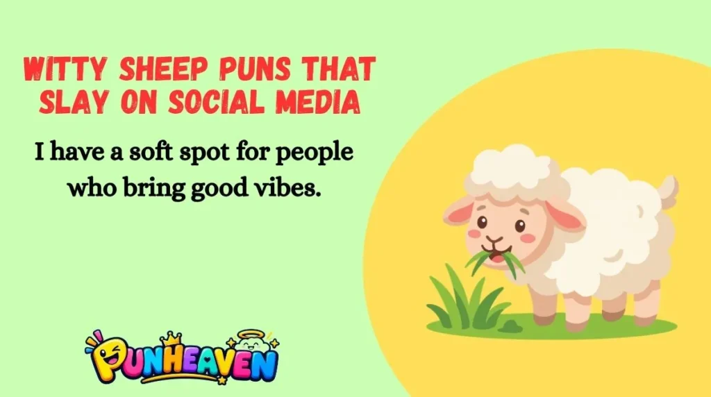 Witty Sheep Puns That Slay on Social Media