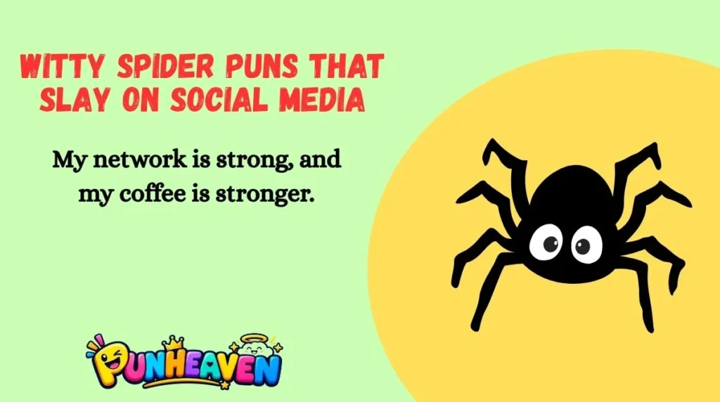Witty Spider Puns That Slay on Social Media