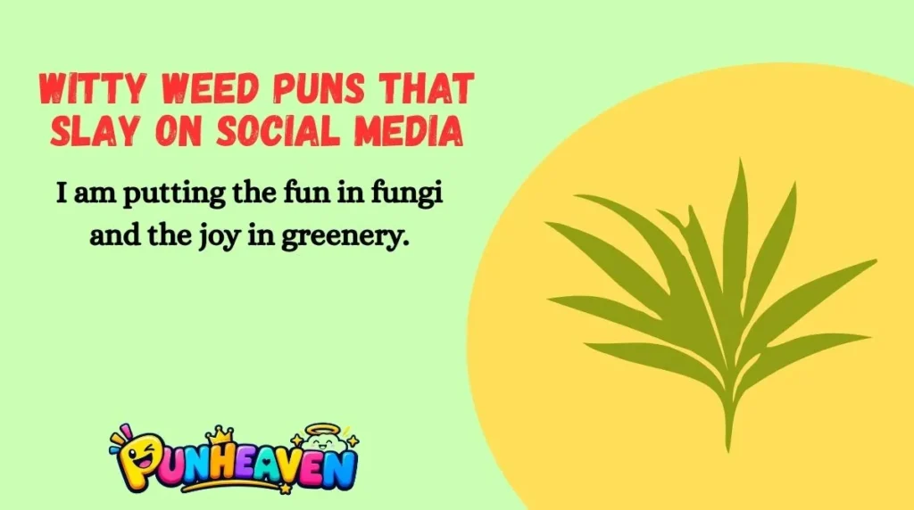 Witty Weed Puns That Slay on Social Media