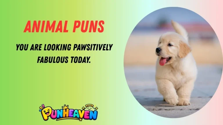 Animal Puns