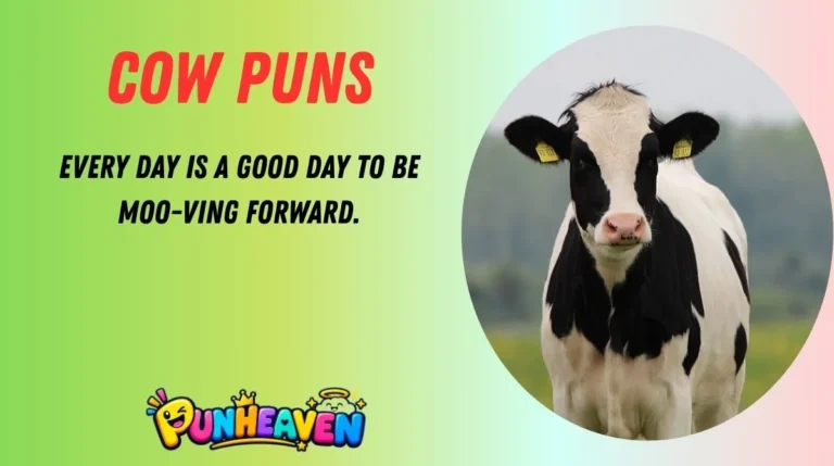 Cow Puns