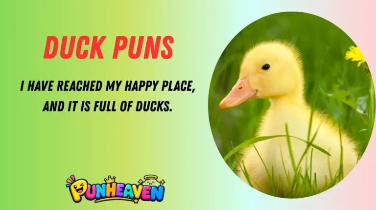 Duck Puns