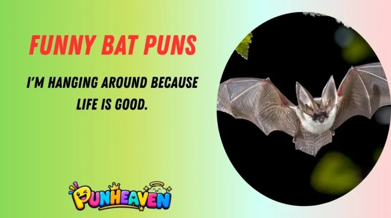 Funny Bat Puns