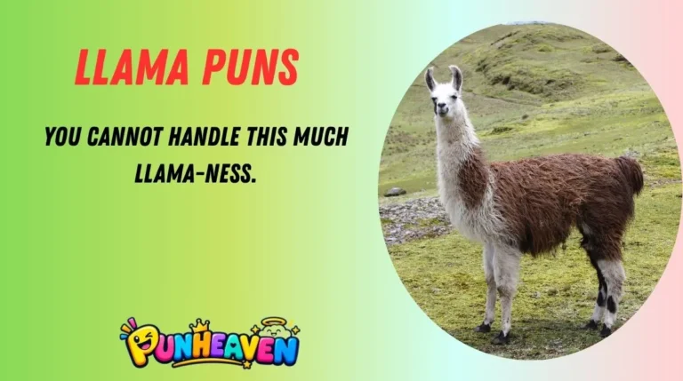 Llama Puns