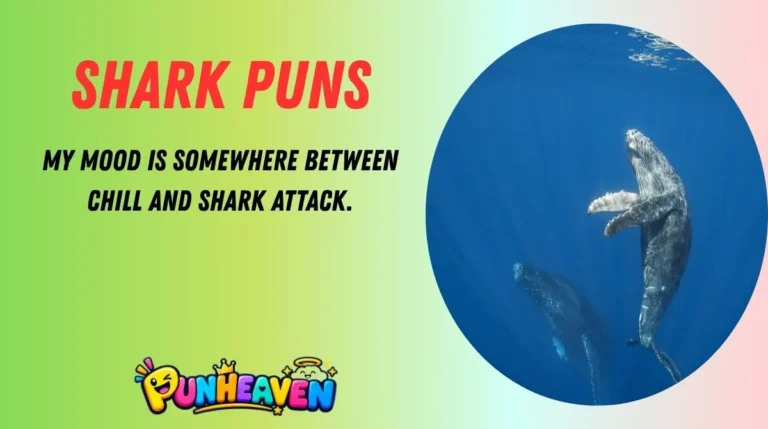 Shark Puns