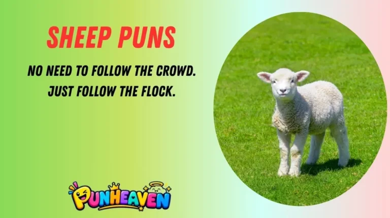 Sheep Puns