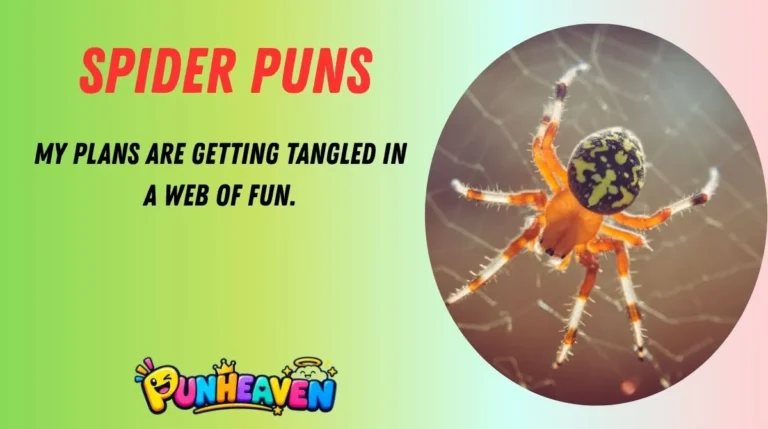 Spider Puns