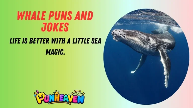 Whale Puns and Jokes